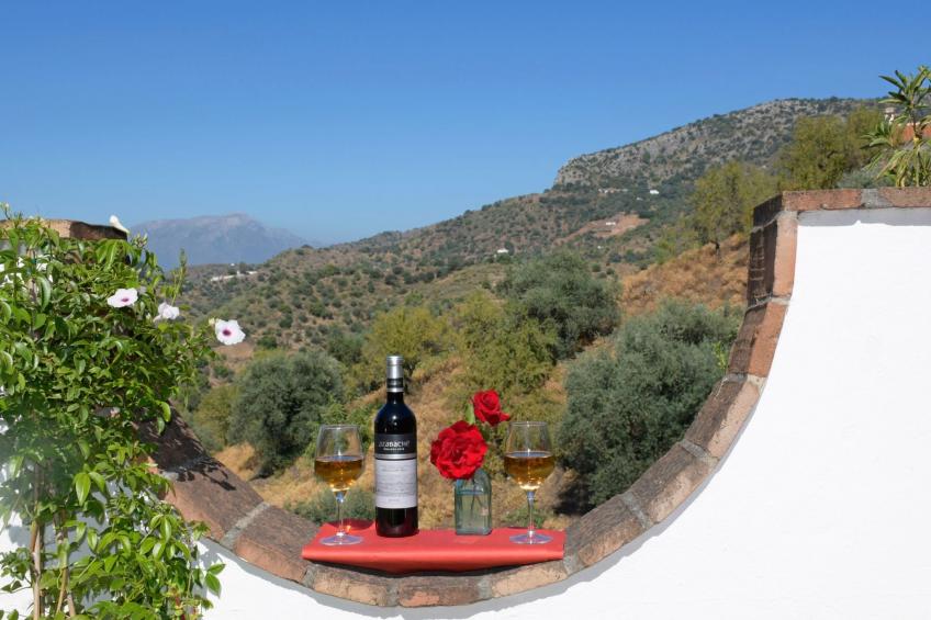 Schönes Landhaus mit Pool, Klimaanlage, Privatsphäre. - foto 6