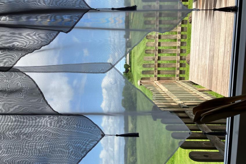 Haus mit Herz - foto 26