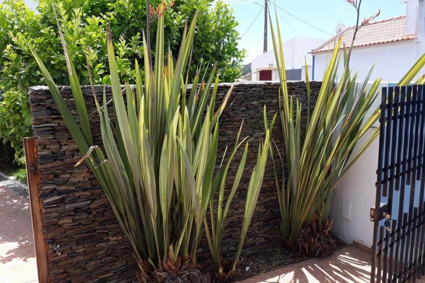 Erholen und Entspannen im Alentejo - foto 40