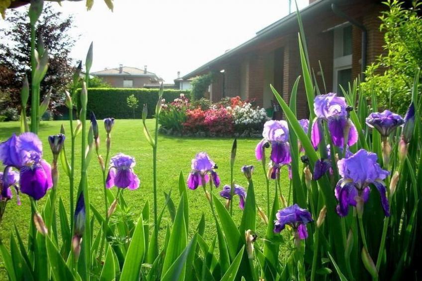 Wohnung mit Garten in der Nähe des Lago Maggiore - foto 14