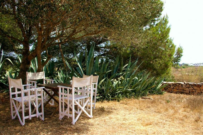 San Ferran - foto 15