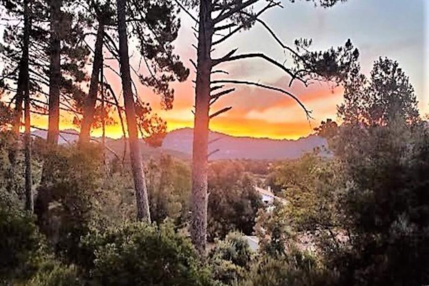 Résidence Pap001-levie - foto 2