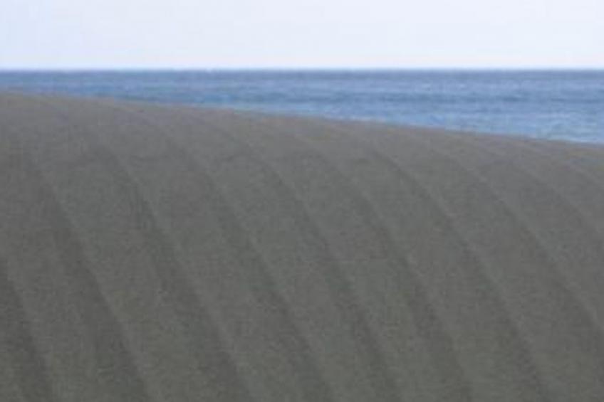 Natur, ökologische Nachhaltigkeit, nur für Erwachsene, Meer in der Nähe - foto 42
