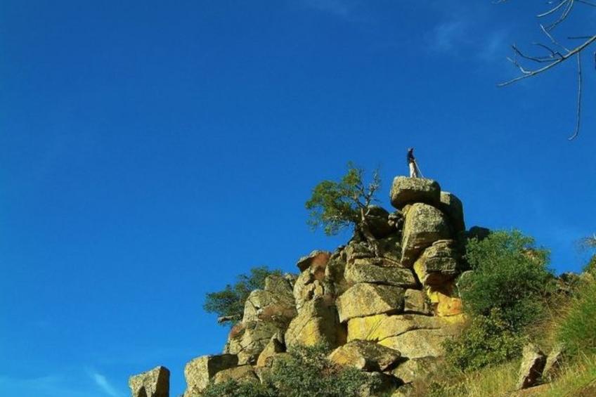 Das Cortijo auf der Finca al-manzil - foto 30