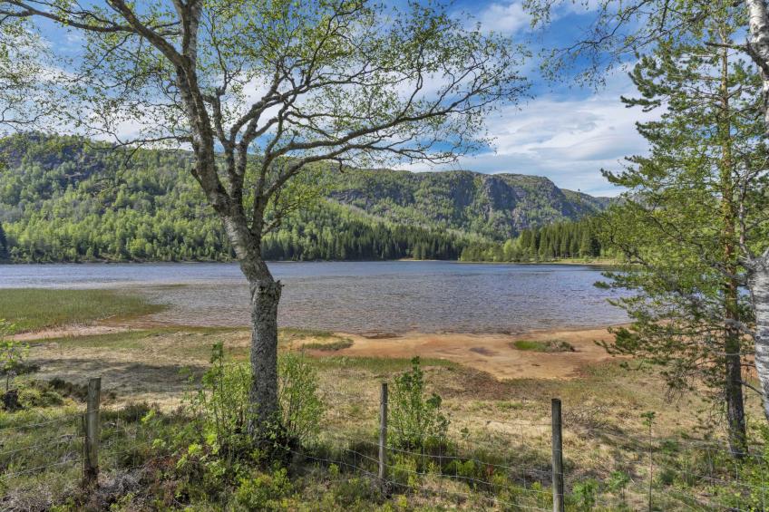 Oddbu (SOW103) - foto 31