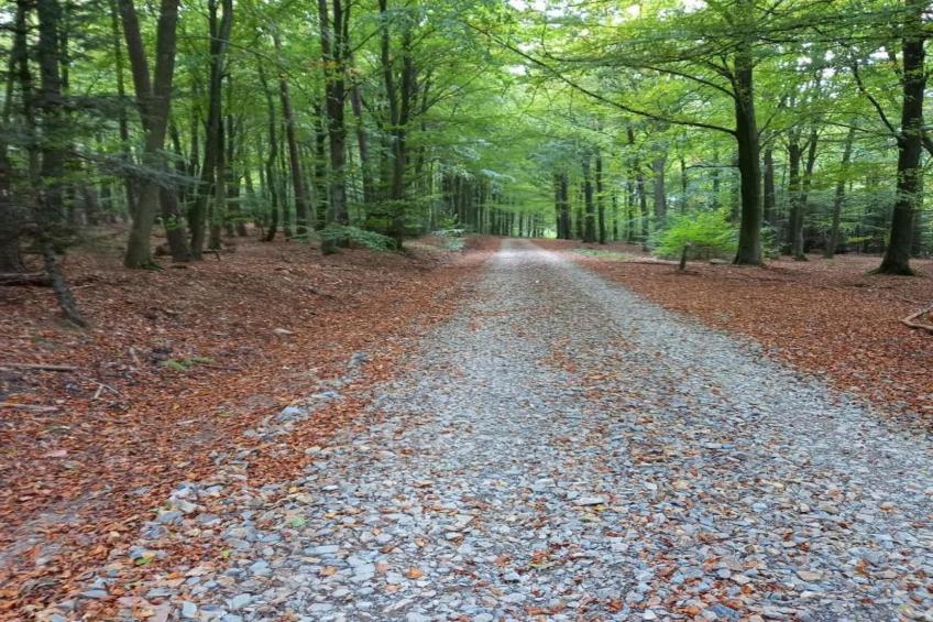 Gite la Randonnee - foto 29