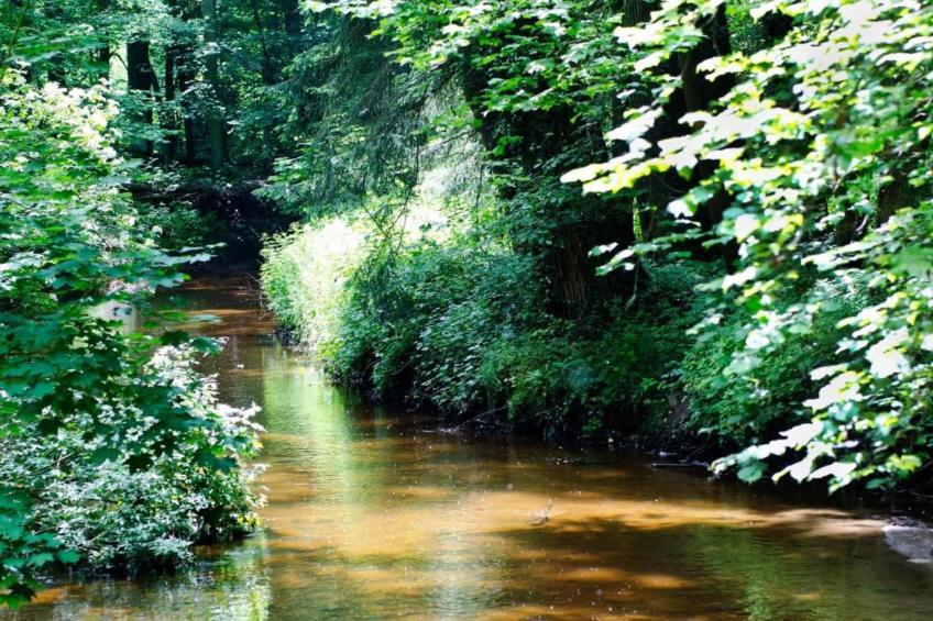 Huus in 't Hagt - foto 23