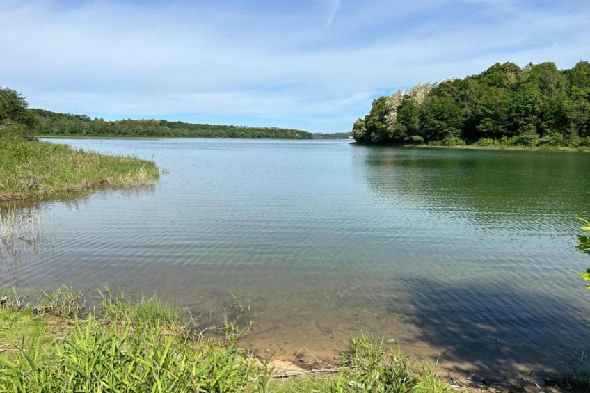 Villa Dobczyce - foto 18