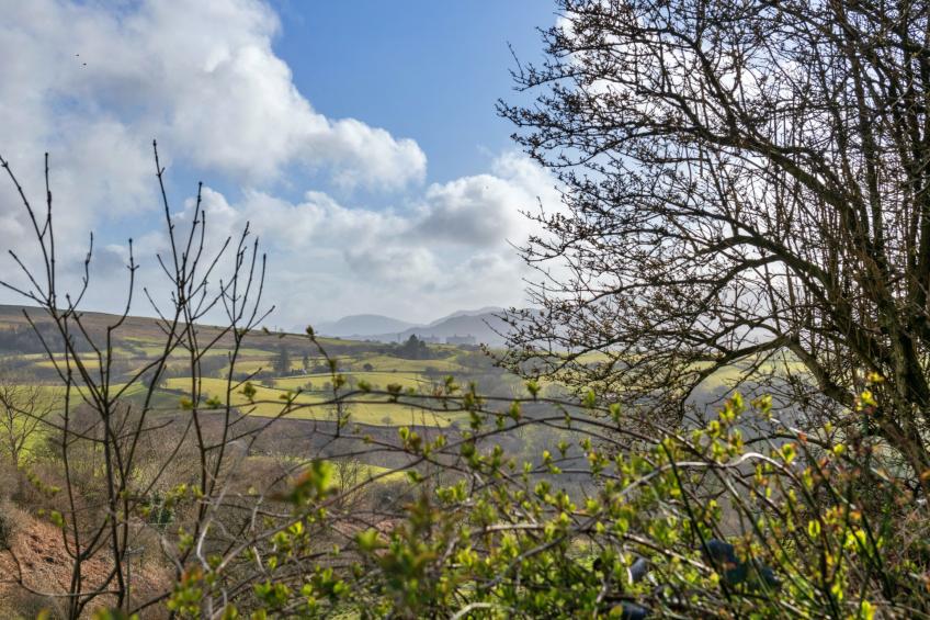 Dolwar Cottage - foto 4