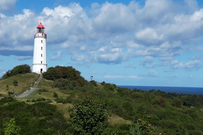 Schöne Wohnung bei Bergen auf Rügen - foto 24