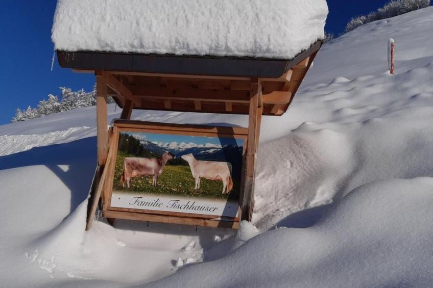 Hof Unterstein - foto 25