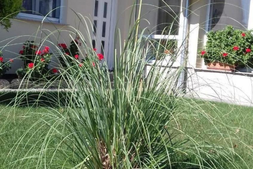 in Bük im Parterre mit Garten - foto 18