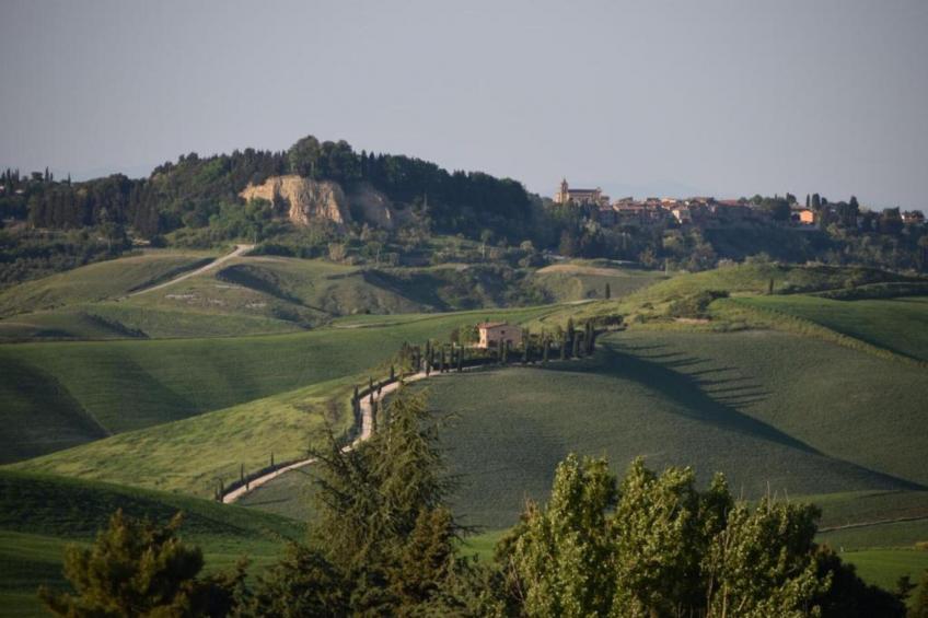 La Casa dei Nonni - foto 32