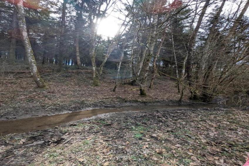 La Colline - foto 32