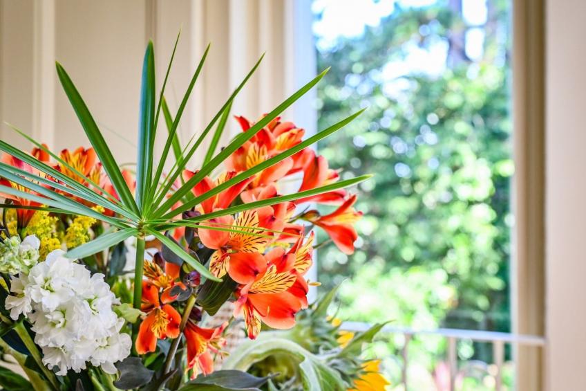 Luxuriöse Erdgeschosswohnung - foto 25