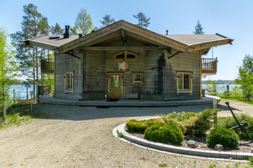 Villa pyöriäinen
