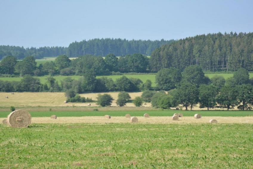 Luxe vakantiehuis Veluwe met Wellness - foto 22