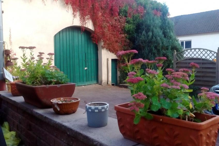 Landhaus Erika - foto 35