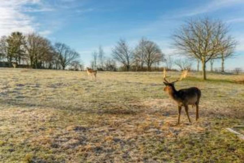 Bernardushoeve - NR13 - foto 36