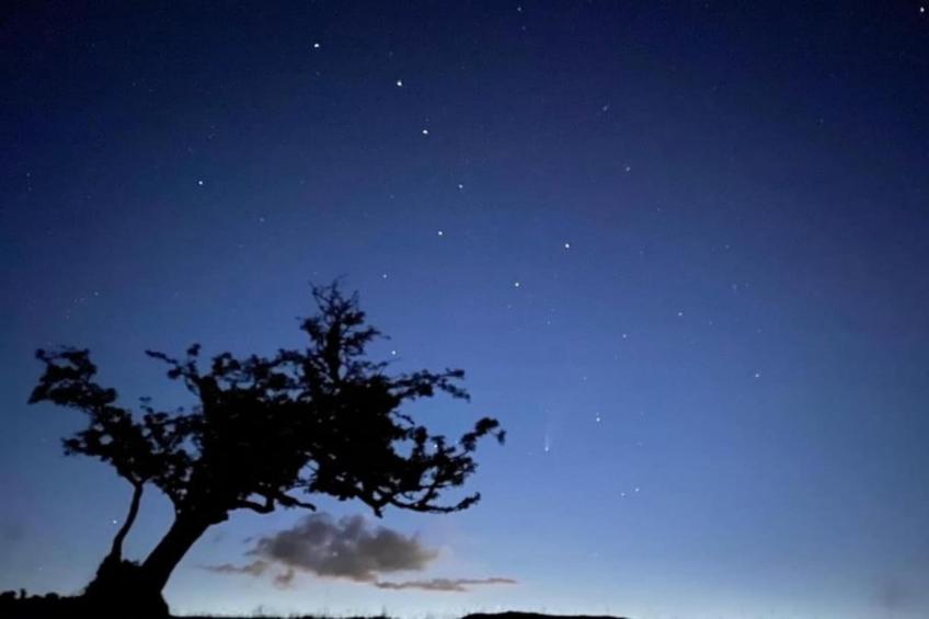 Higher House - foto 34