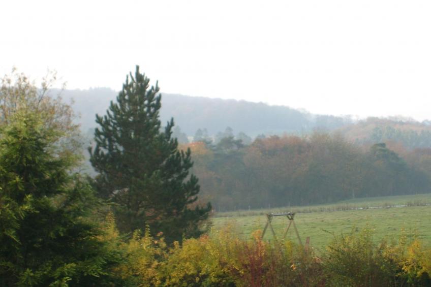 "Chalet Forzée" mit Terrasse - foto 15