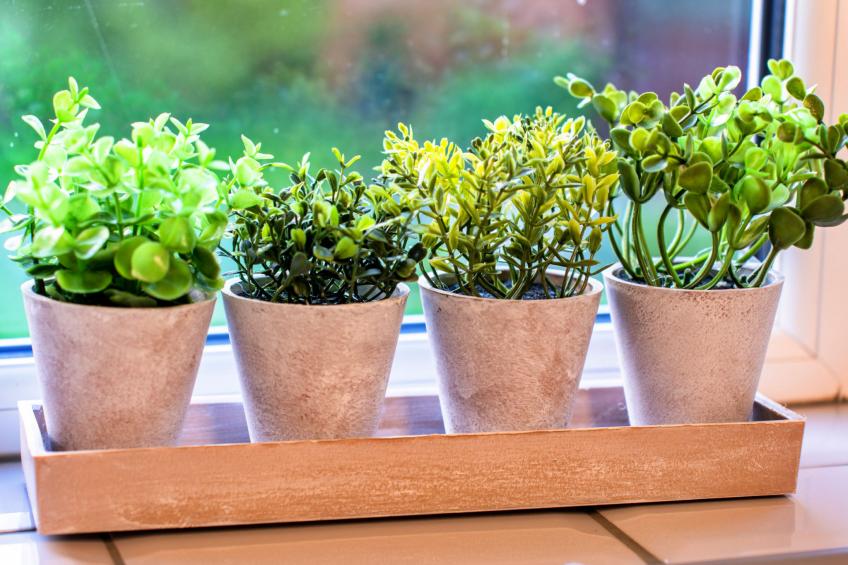 Southern Lea - foto 33