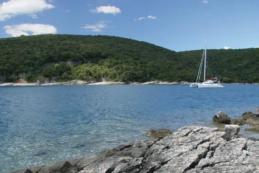 Apartment 1437 - foto 5