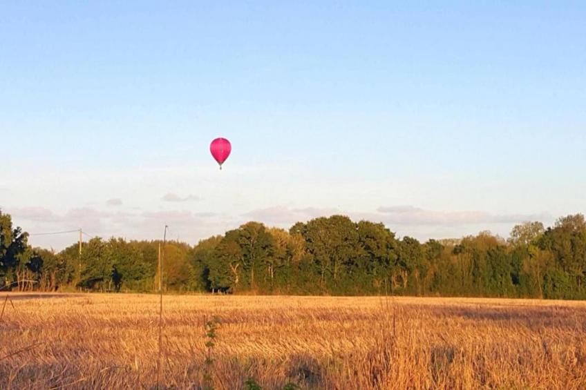Gîte Saint-Gilles-les-Bois - foto 33