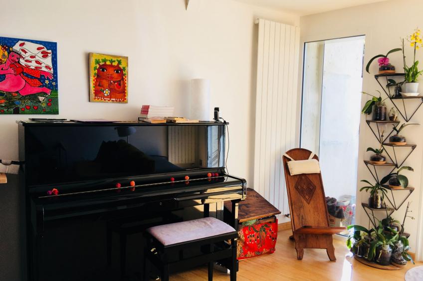 Haus mit Pool im Zentrum von Toulouse - foto 6