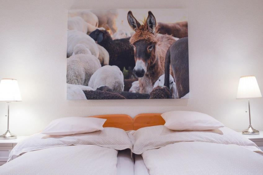 Rothmund, (Bad Ragaz), - foto 17