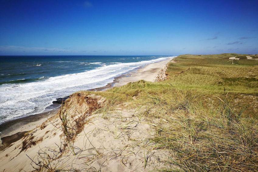 BF-6KJRP - foto 12
