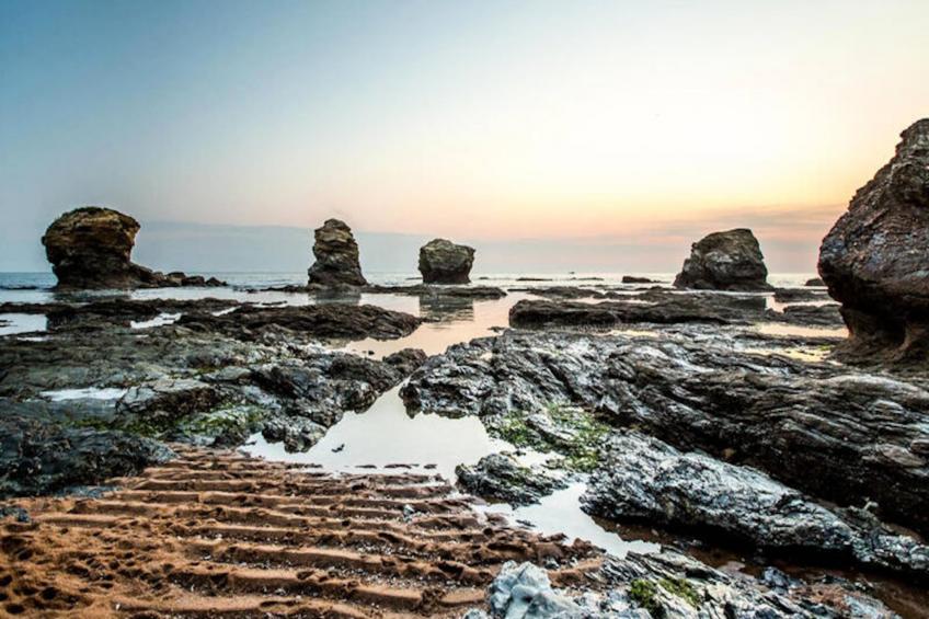 Chalets à Saint-Gilles-Croix-de-Vie - foto 29