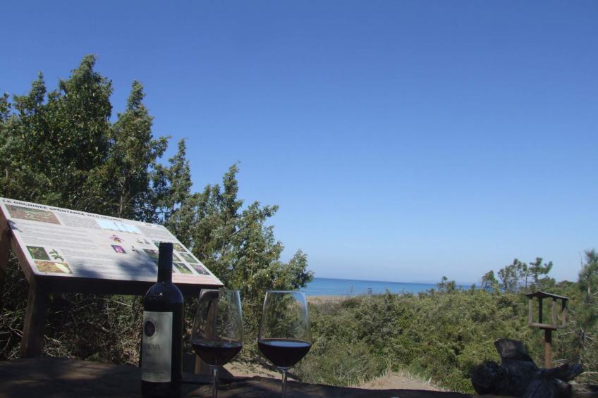 Villa al mare-Bougainvillea - foto 20