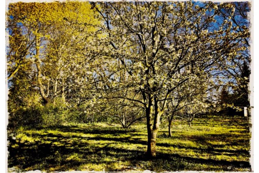 Landlust pur 1 - foto 21