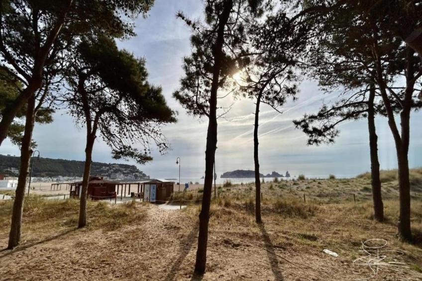 CATALONIA 3-9 - foto 33