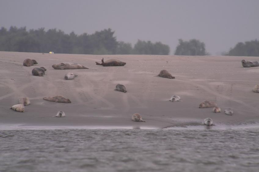 La Grange - alte renovierte Scheune - foto 14