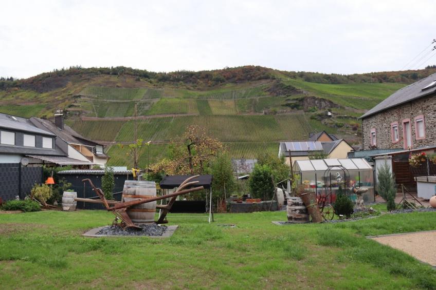 322443 - foto 4