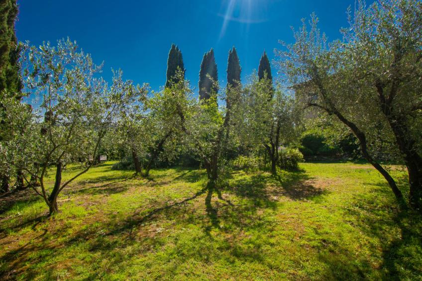 Il Fienile - foto 32