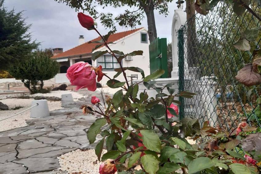 Holiday Home Mystc Woods - foto 20