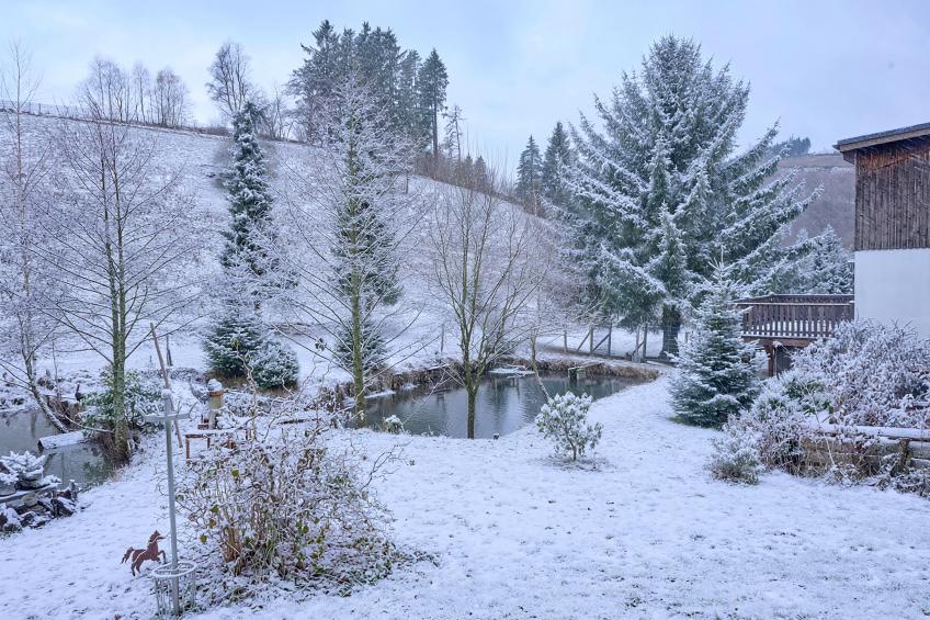 Am Damwildgehege I - foto 43