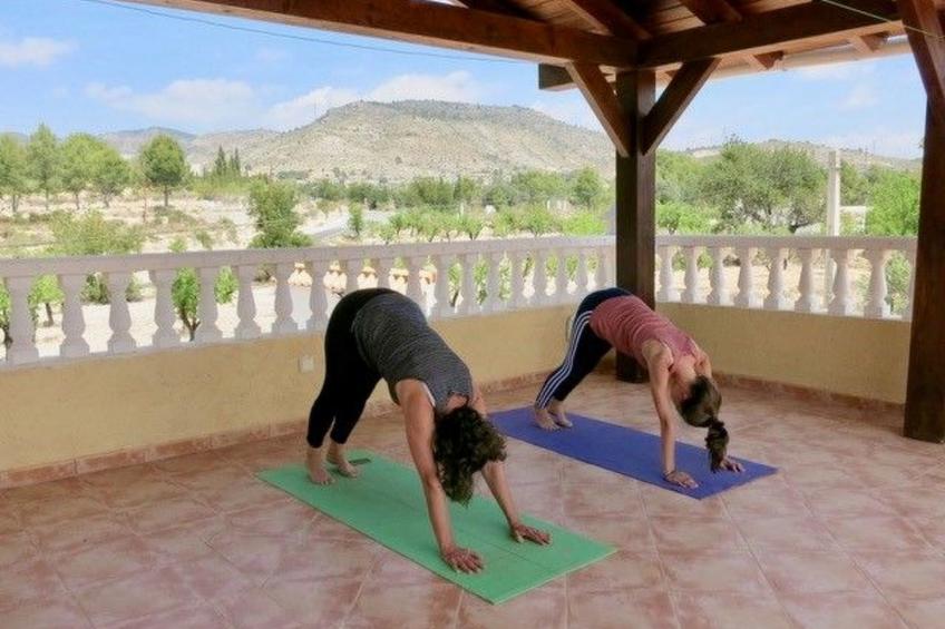 Finca Bilou, wo sich der Urlaub wie ein Heimkommen anfühlt - foto 25