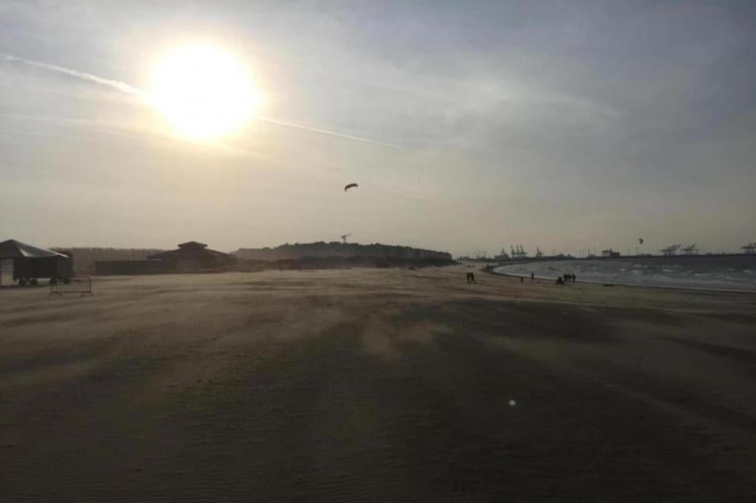 De Reus van Horebeke - foto 36