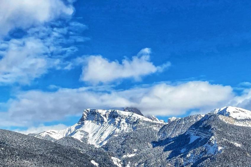 Cesa Vedla DOLOMITES - foto 46