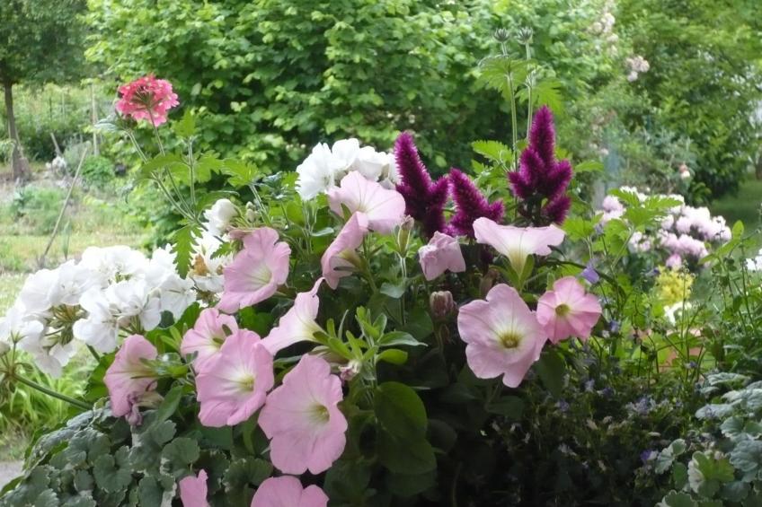 Apartment Le Jardin mit Privatparkplatz - foto 31