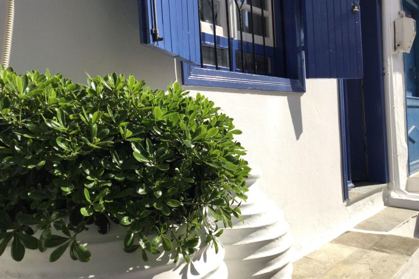 in Skopelos mit Grill und Terrasse - foto 33