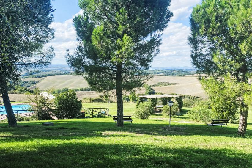 Torrenieri - foto 34