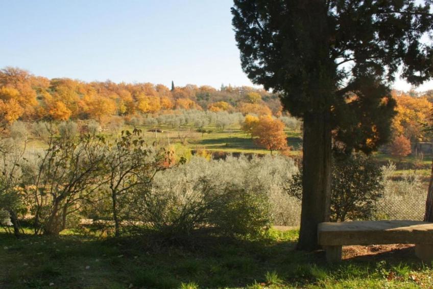 Villa Melograno - foto 22