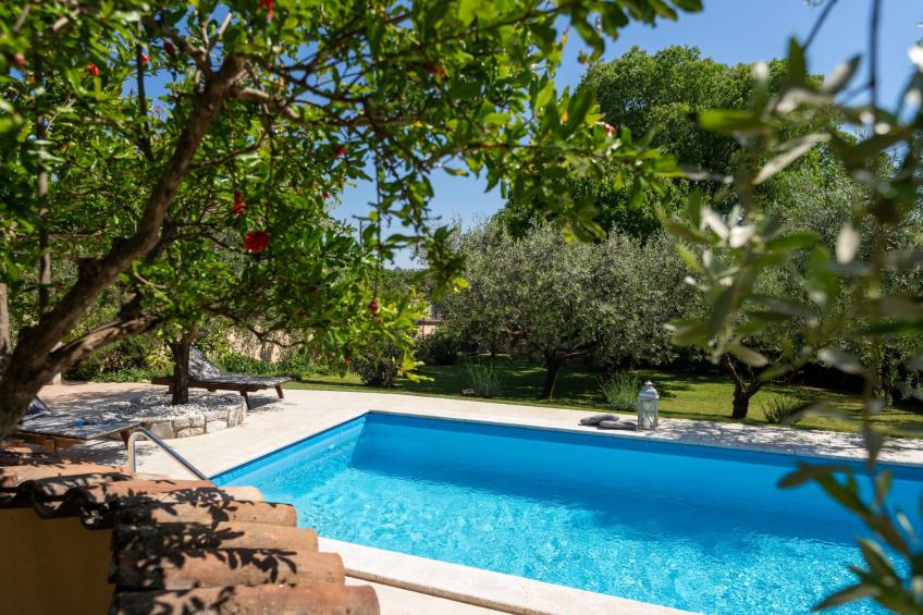 Villa Casa Olga - foto 34