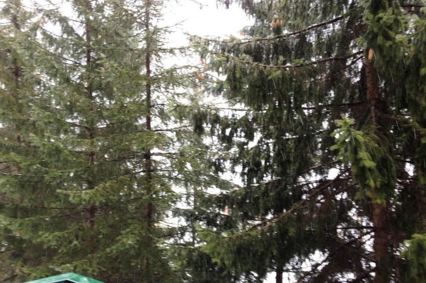 Studio für 4 Personen ca. 60 m² in Limone Piemonte, Piemont (Provinz Cuneo - foto 15