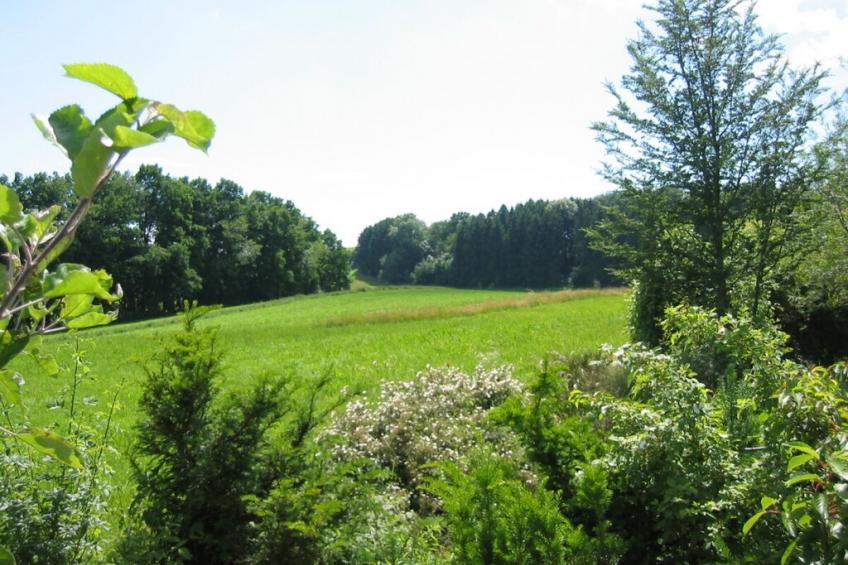 16799 - foto 3